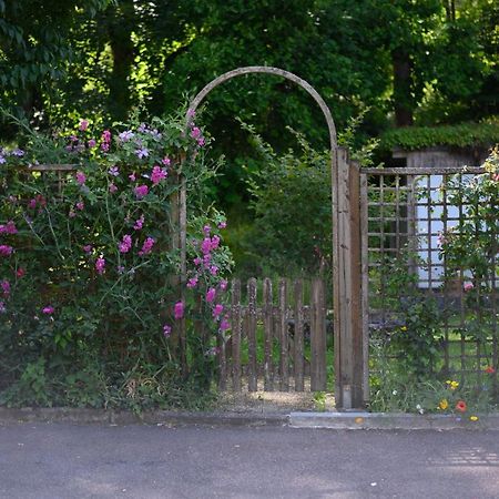Gasthof Adler Weinstadt Bagian luar foto